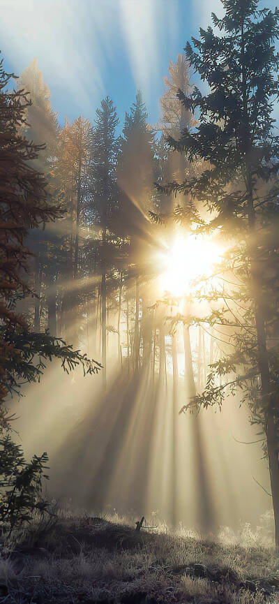 高清手机风景壁纸