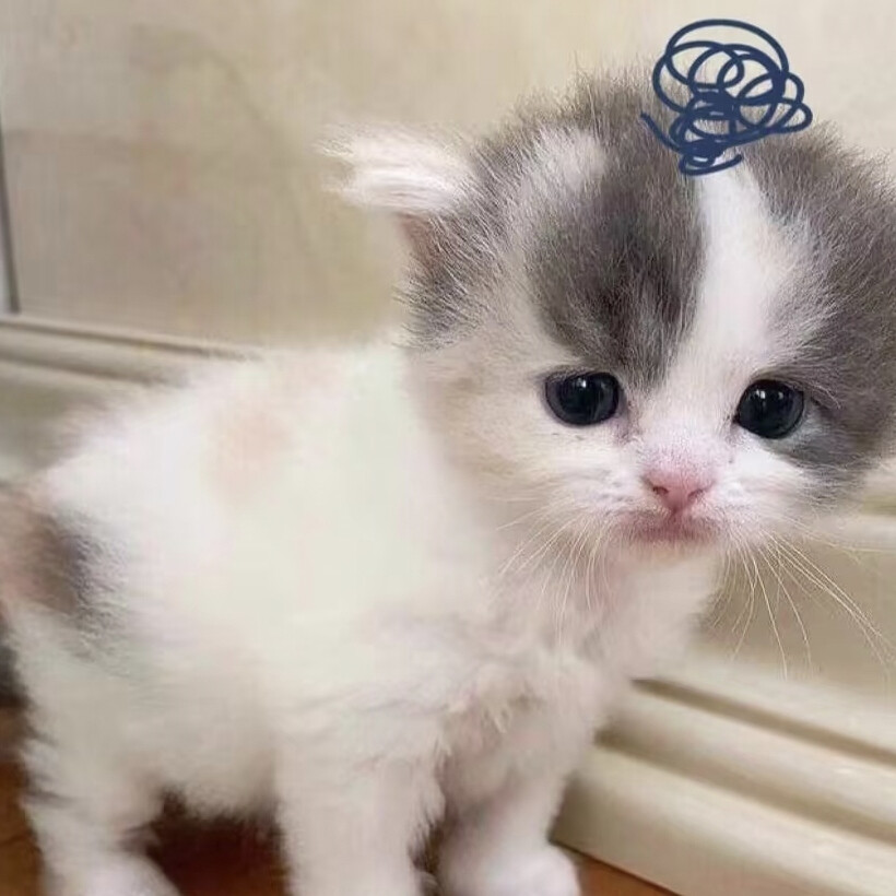人，我好想你