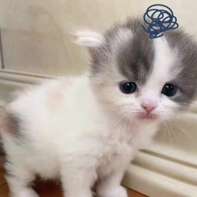 人，我好想你