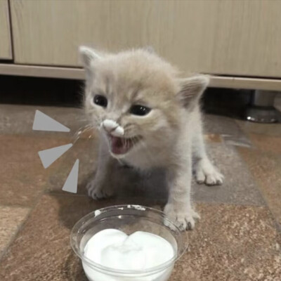 人，我好想你