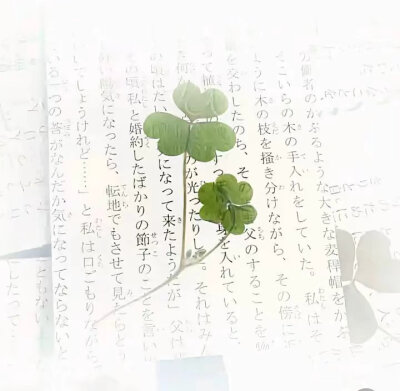 Pyq搭配