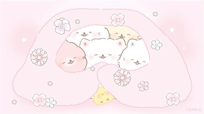 毛茸茸的小猫咪