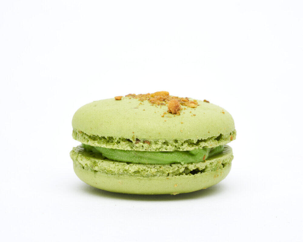 马卡龙白底头像