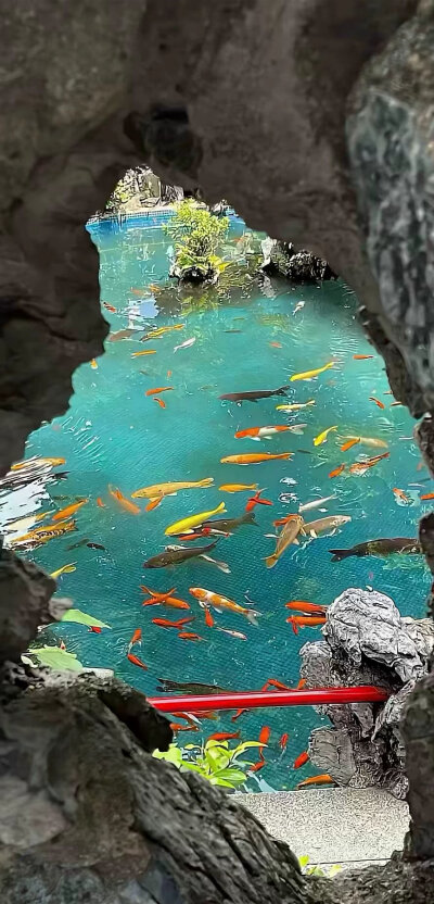 一波壁纸~