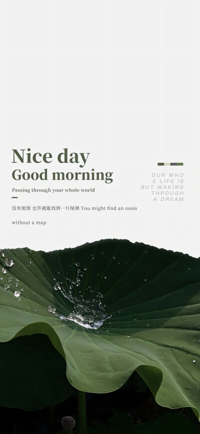 杂志风壁纸