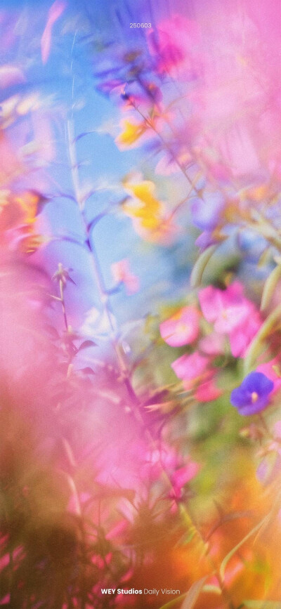 iPhone壁纸 ♥