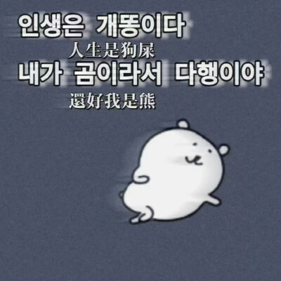 自嘲熊梗图