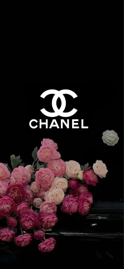 壁纸 手机壁纸 Chanel lomo 冷淡风 高级小众