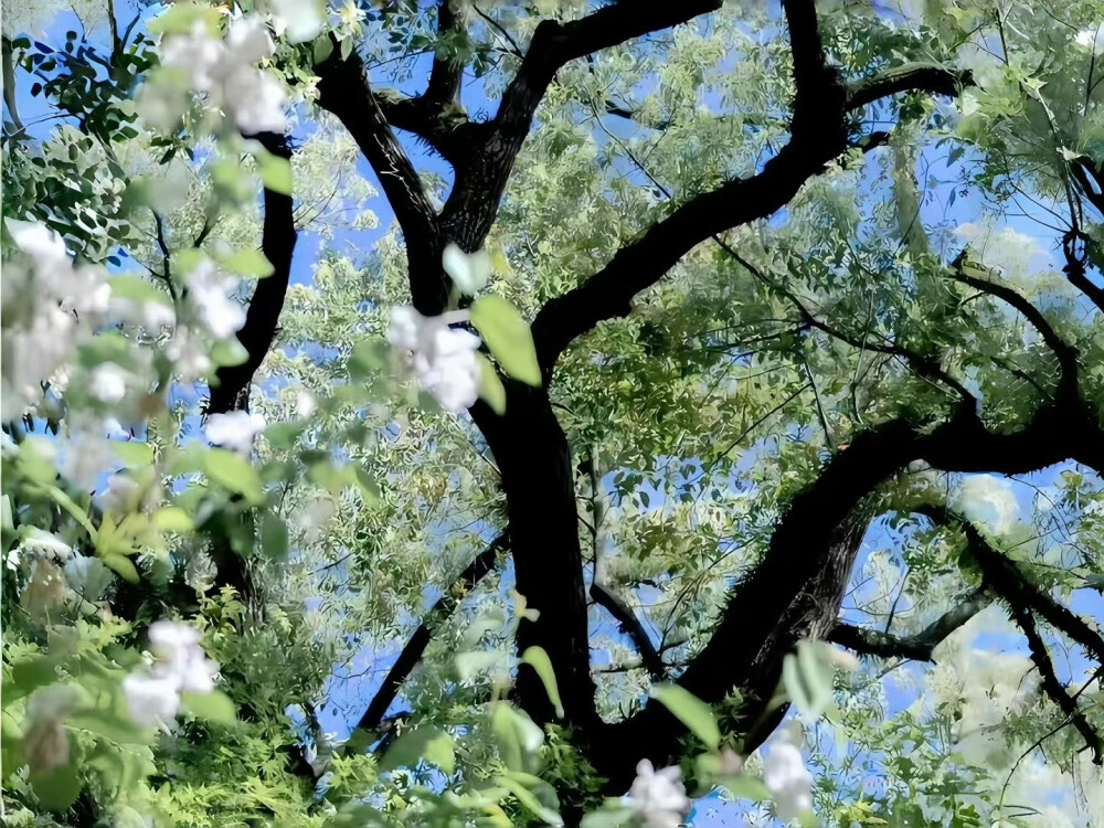 朋友圈背景图