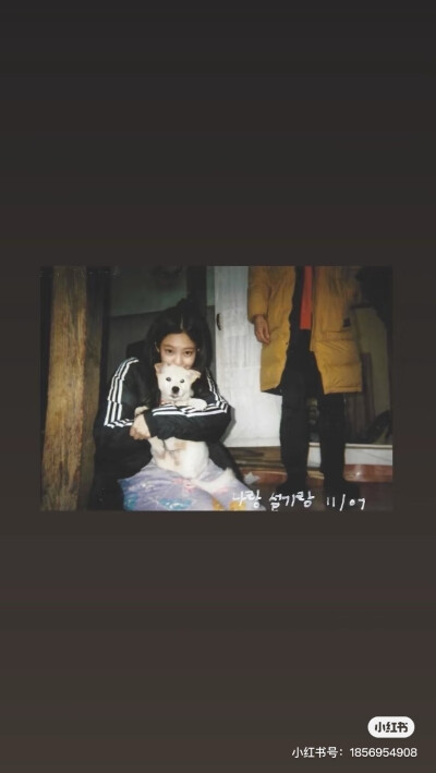 杂