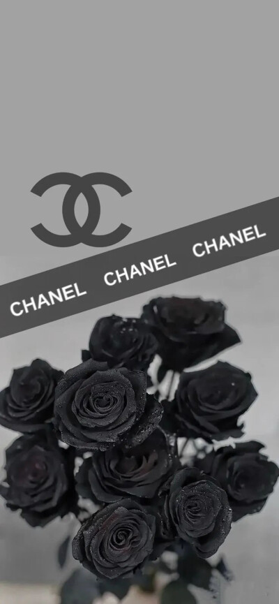 壁纸 手机壁纸 Chanel lomo 冷淡风 高级小众