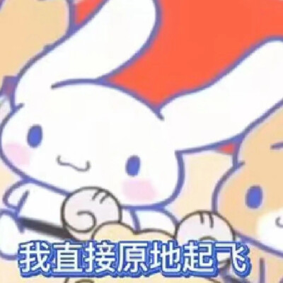 玉桂狗