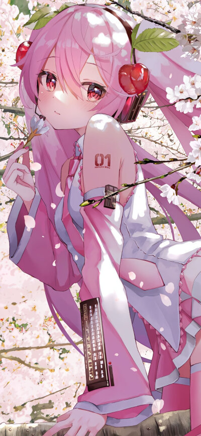 手机壁纸