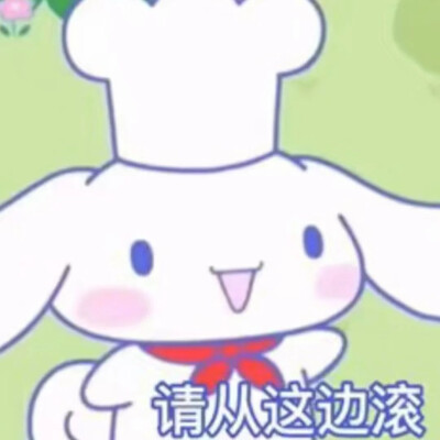 玉桂狗