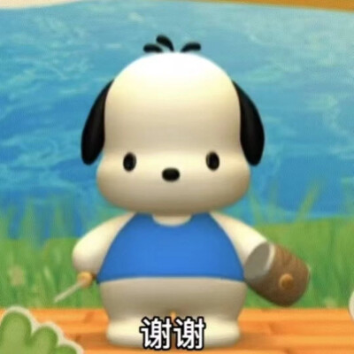 帕恰狗