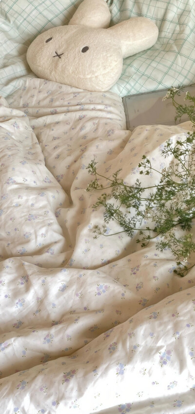 手机壁纸