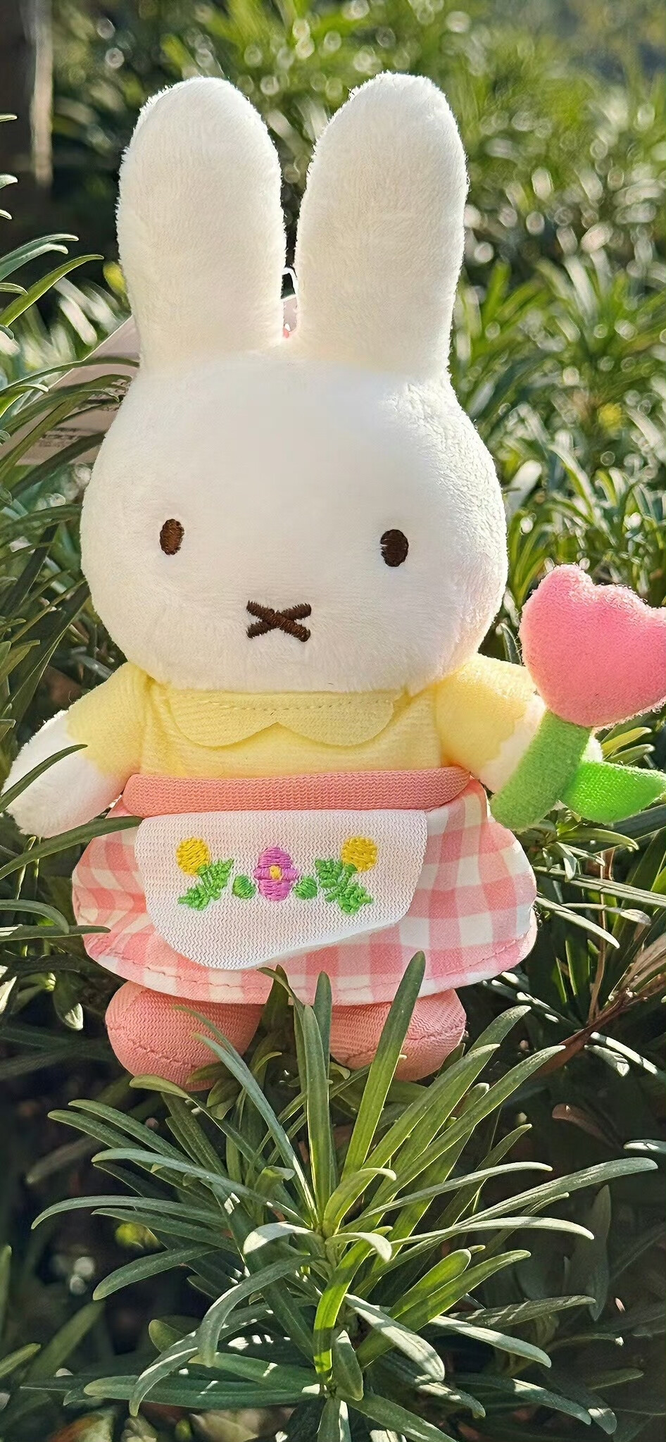 杂