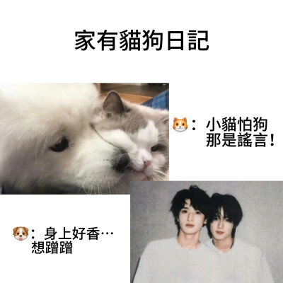日记1