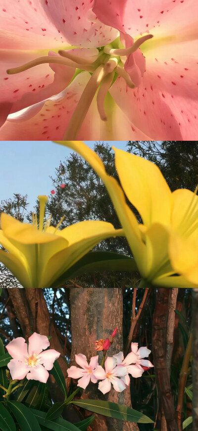 2025.06.12（02）