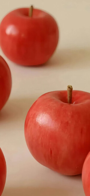 是壁纸贩卖机啊！