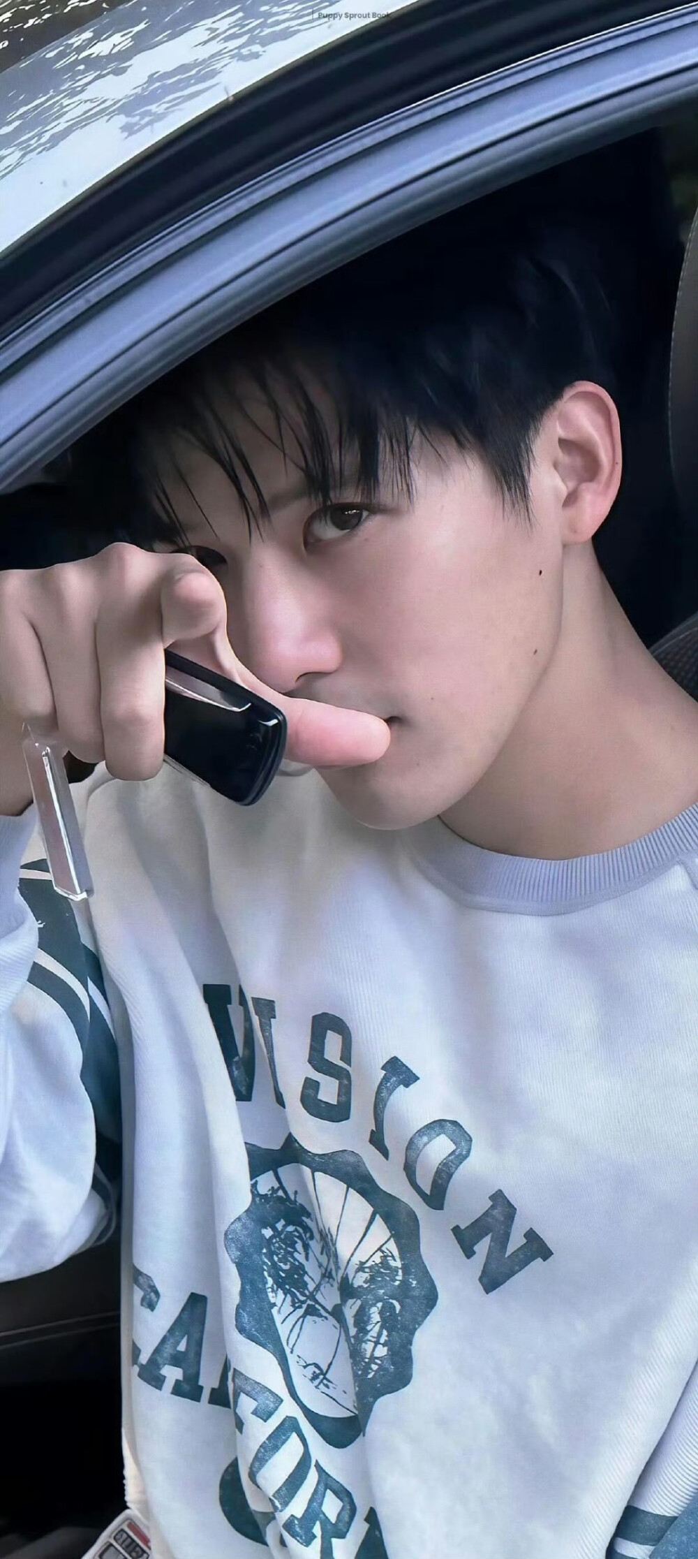 王安宇