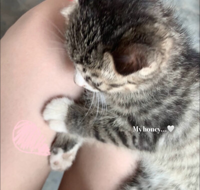 俺们小宝贝