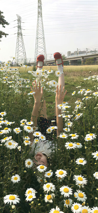 杂