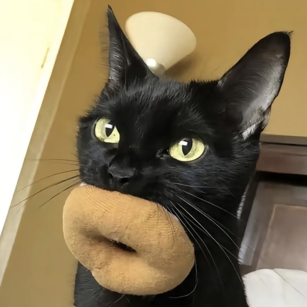 ^ω^