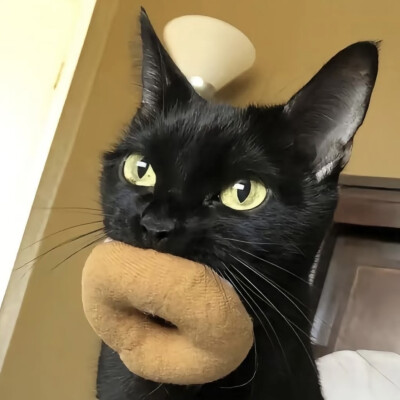 ^ω^