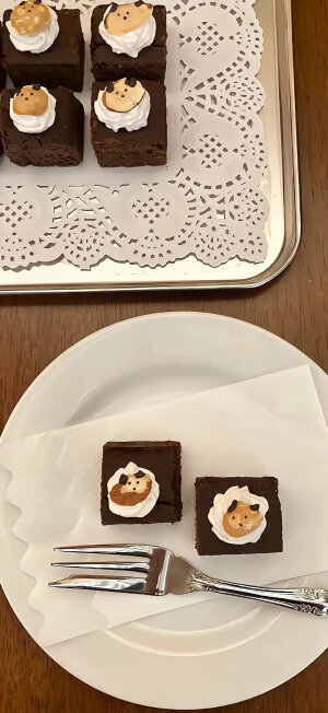 是壁纸贩卖机啊！