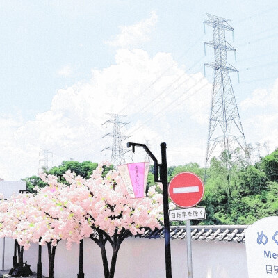 任君凭栏我栖春山