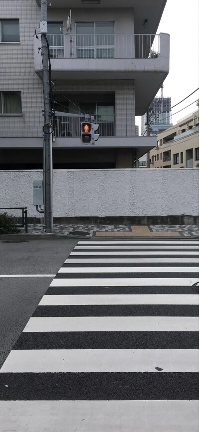 四处寻来