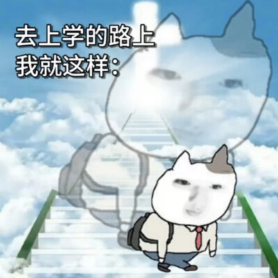 表情包