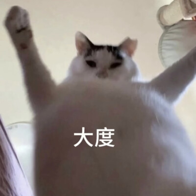 表情包