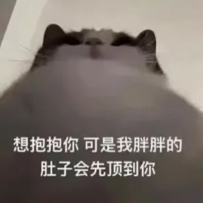 表情包