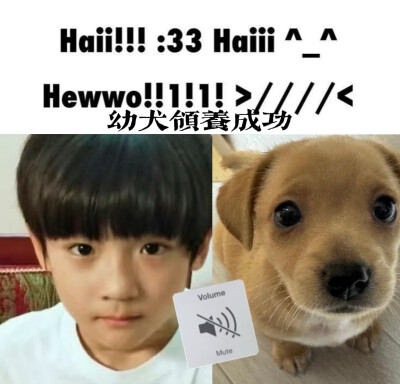 单收