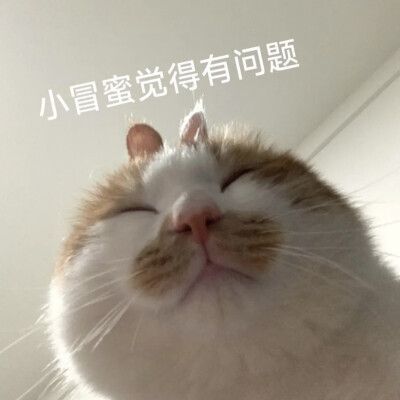 表情包