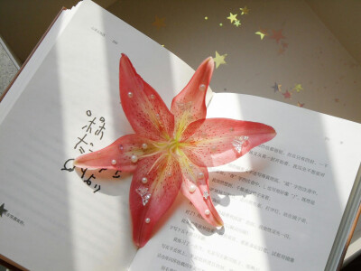电脑壁纸