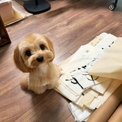 可可爱爱