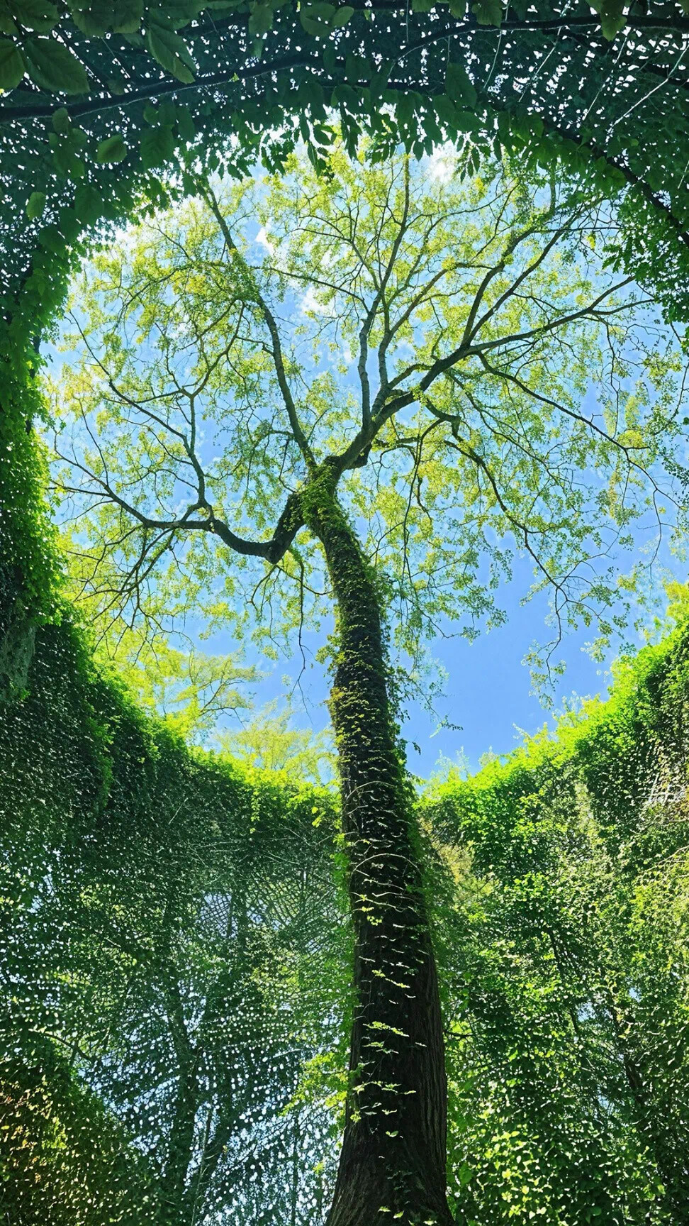 全屏壁纸