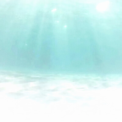 浅调里的清新缪斯♪☆
