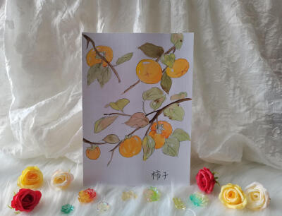 26 柿子（绘画 | 水彩 | 果花甘03）
2018.6
橙红的柿子，让人想到深秋时节，湛蓝的晴空，空气寒凉，光秃秃的树枝在土墙下投下阳光剪影，竹篾上的红柿子在晒太阳，把肃杀的秋日照得红彤彤。
而橙色和黄色的柿子，会…