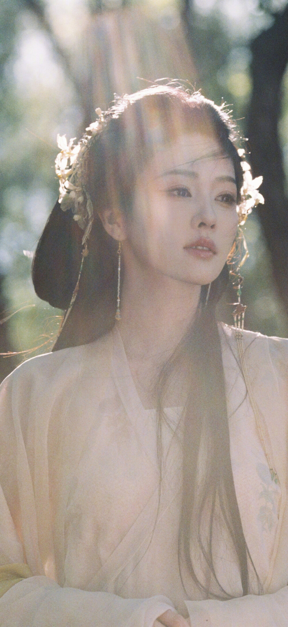 江临仙花如月