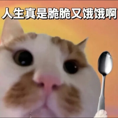 表情包