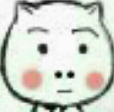 砂仁猪心