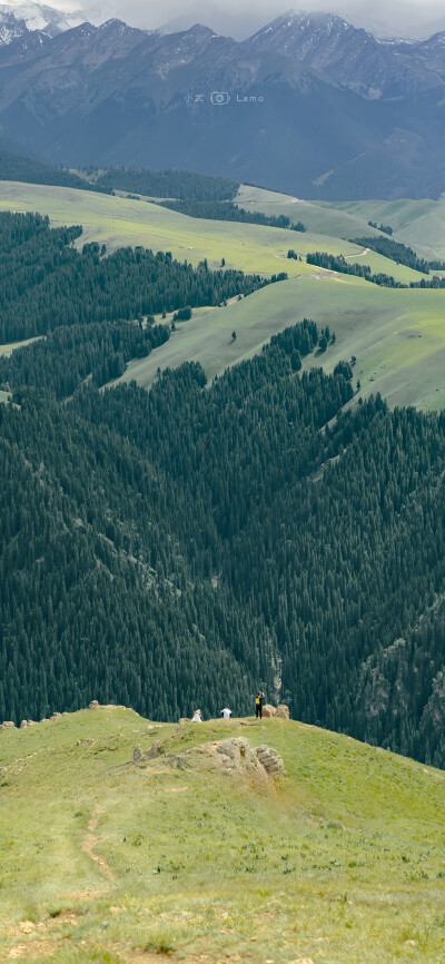 高清竖屏壁纸 自然风景