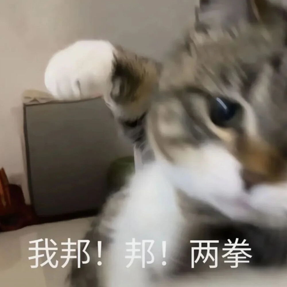 表情包