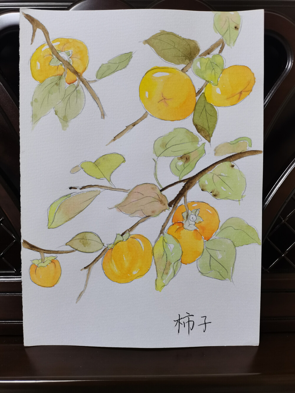 26 柿子（绘画 | 水彩 | 果花甘03）
2018.6
橙红的柿子，让人想到深秋时节，湛蓝的晴空，空气寒凉，光秃秃的树枝在土墙下投下阳光剪影，竹篾上的红柿子在晒太阳，把肃杀的秋日照得红彤彤。
而橙色和黄色的柿子，会让我想起初秋或仲秋。天气还不是太冷，秋高气爽的白日，天色浅蓝，阳光还保留着夏日的热烈，在凉意渐生的夏风中，黄色的柿子和树叶一起被染成阳光的颜色，空气中弥漫香甜。
柿子无疑是丰收的符号。多么甘甜的乡土气息。