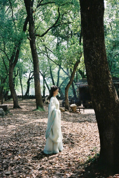 白鹿