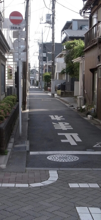 四处寻来